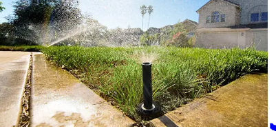 Working sprinkler head on green lawn